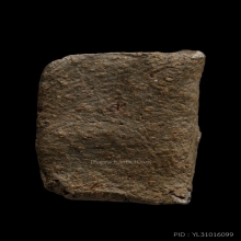 +บัตรสมาคม พระรอดวัดพระสิงห์ พิมพ์กลางหน้าหนู