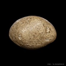 +บัตรสมาคม ลูกอมยันต์เกราะเพชร หลวงพ่อปาน วัดบางนมโค