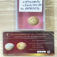 +บัตรต้นท่าพระจันทร์ ลูกอมมหากัณฑ์ หลวงพ่อคง บางกระพ้อม