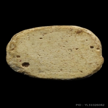 เสือพยัคฆ์รุ่นแรก วัดถ้ำน้ำ เนื้อปูนโบสถ์ผสมผงพุทธคุณ ปี2536