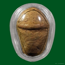 ปลัดขิกหลวงพ่อสงวน วัดไผ่พันมือ