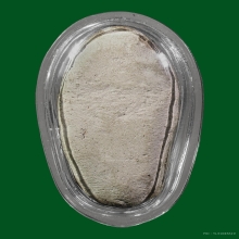 ปลัดขิกหลวงพ่อสงวน วัดไผ่พันมือ