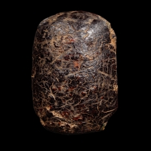 +บัตรสมาคม ตะกรุดพอกครั่งหลวงพ่อทองสุข วัดโตนดหลวง