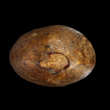 +บัตรหมีพูห์ปู่ทิม ลูกอมผงพรายกุมาร หลวงปู่ทิม