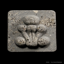 +บัตรสมาคม ปิดตาพระดูกผี หลวงพ่อชำนาญ