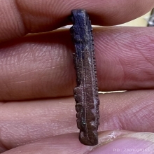 เหรียญหล่อสมเด็จโต วัดประดู่ในทรงธรรม 2522 ลป.โต๊ะ เสก หายาก