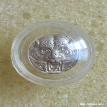 เม็ดกระดุมหน้าเสือ หลวงพ่อเพี้ยน วัดเกริ่นกฐิน ปี 53