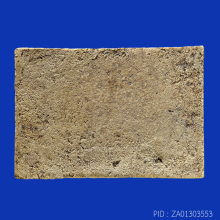 หลวงปู่ภู วัดอินทร์ พิมพ์ไสยาสน์(#1)