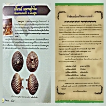 เบี้ยแก้หลวงปู่เพิ่ม วัดกลางบางแก้วกันและแก้สิ่งอัปมงคลต่างๆ