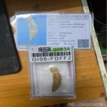 เสือหลวงพ่อคง เขี้ยวแกะ วัดวังสรรพารส