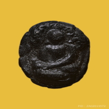 ปรกนาคสัตตนาเค หลวงปู่ทิม วัดละหารไร่