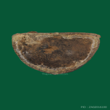 พระบูชาอยุธยา