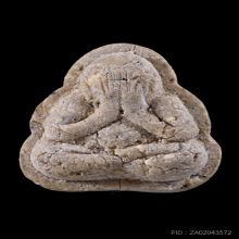 พระปิดตาหลังยันต์ห้า พิมพ์เล็ก หลวงปู่ทิม วัดละหารไร่