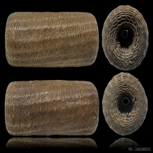 ตะกรุดใบลานหลวงพ่อแก้ว ทายางไม้เก่า สวยเดิม