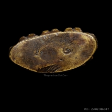 +บัตรสมาคม พระกริ่งใหญ่ทิเบต วัดประสาท