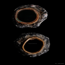 +บัตรสมาคม ตะกรุดโสฬสมงคล หลวงพ่อทองสุข วัดสะพานสูง