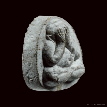 พระปิดตายันต์ดวงเล็ก เนื้อผงธูป หลวงปู่โต๊ะ