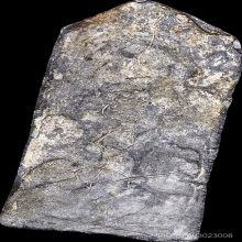 พระลีลาหลวงพ่อโตวัดวิหารทองหลวงปู่ศุข วัดปากคลอง ปลุกเสก 