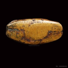 ท่านเจ้ามาฐานสูง