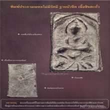 เหรียญหล่อหลวงปู่ศุข พิมพ์ประภามณฑล ข้างเรียบ องค์ดารา