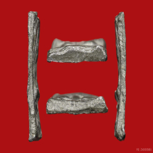 เหรียญหล่อหลวงปู่ศุข พิมพ์ประภามณฑล ข้างเรียบ องค์ดารา