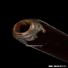 ตะกรุดมหาระงับหลวงปู่ใจ วัดเสด็จ จ.สมุทรสงคราม