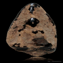 พระนางกำแพงเกศยาว ลงรักเก่ามา สวย