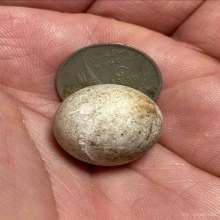 ลูกอมหลวงปู่ขำ วัดสหกรณ์โฆสิตาราม 