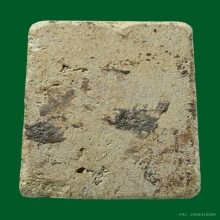 พระสมเด็จพิมพ์ใหญ่เกศจรดซุ้ม พิมพ์ล้ำ หลวงปู่ลำภู ปี 2502