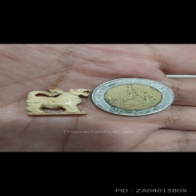 สิงห์หลวงพ่อมุ้ย ศิลป์หน้าเสือโคร่ง