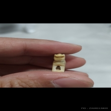 สิงห์หลวงพ่อมุ้ย ศิลป์หน้าเสือโคร่ง