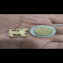 สิงห์หลวงพ่อมุ้ย ศิลป์หน้าเสือโคร่ง