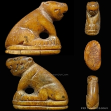 เสือสาริกาหลวงพ่อสาย วัดคลองด่าน 