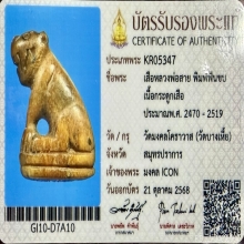 เสือสาริกาหลวงพ่อสาย วัดคลองด่าน 