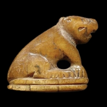 เสือสาริกาหลวงพ่อสาย วัดคลองด่าน 