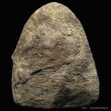 หลวงพ่อทวด วัดเมืองยะลา ปี2505 เนื้อว่าน