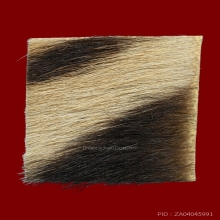 หนังเสือบ้านมีดี จารลายมือพ่อป่อง น่วมมานา