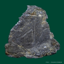 พระปิดตา ข้าวตอกแตก หลวงปู่เอี่ยม วัดหนัง