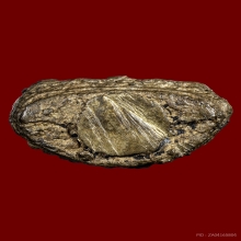 พระกริ่งไพรีพินาศ วัดบวรฯปี2495 พิมพ์บัวแหลม