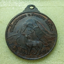 ...เหรียญกวางเหลียว ลพ.วัดดอนตัน...