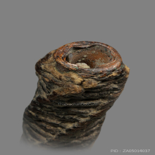 หลวงปู่เอี่ยม วัดหนัง