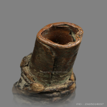 หลวงปู่เอี่ยม วัดหนัง