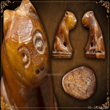 เสือหลวงพ่อปาน วัดบางเหี้ย (คลองด่าน)