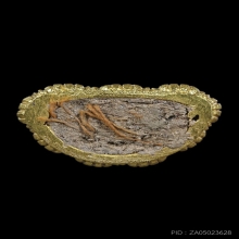 พระชัยอินทนชิต หลวงพ่อแช่ม วัดดอนยายหอม ปี 2530 เนื้อทองคำ