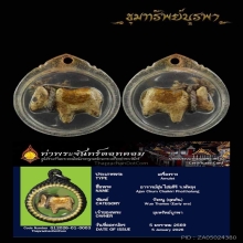 วัวธนู อาจารย์ชุม ยุคต้น