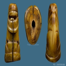 เสือหลวงพ่อเรือน วัดคลองด่าน(บางเหี้ย)