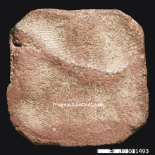 หลวงพ่อปาน เม่นสังกัจจายน์บัว7 ผิวสวยและหนาเนื้อจัดๆ+ฟอร์มดี