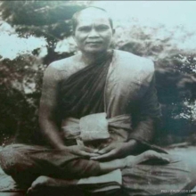 หลวงปู่ทวดเนื้อว่านรุ่นแรก ออกวัดพะโค๊ะพิมพ์ใหญ่ สวยแชมป์