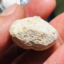 พระปิดตาหลวงพ่อทองสุข วัดสะพานสูง