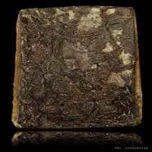 สมเด็จหนังช้าง หลวงปู่หงษ์ ยุคต้น